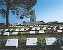 Gallipoli