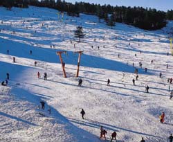 Alko�lar B�y�k Otel